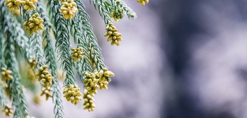 XAX_1047