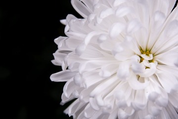 XAX_1176
