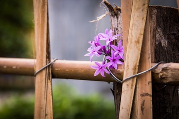 47_140517_180 mm