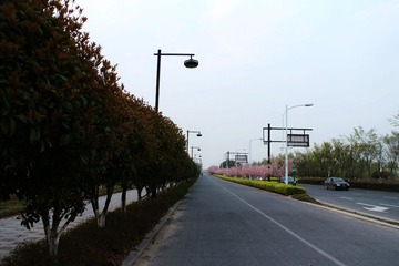 IMG_0573_