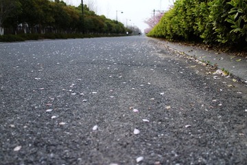 IMG_0577_