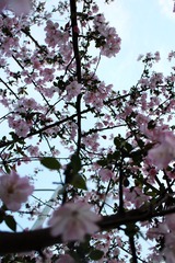 IMG_0579_