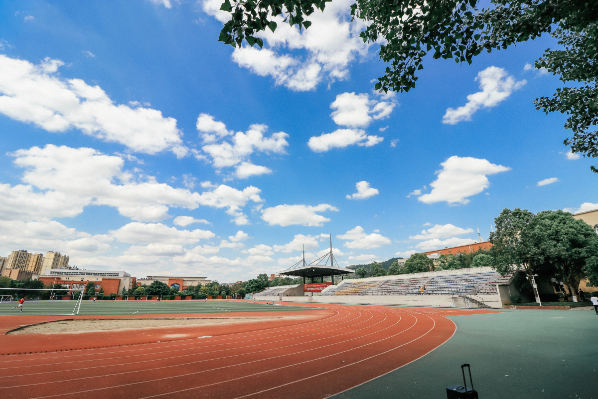 学校迎来了夏天