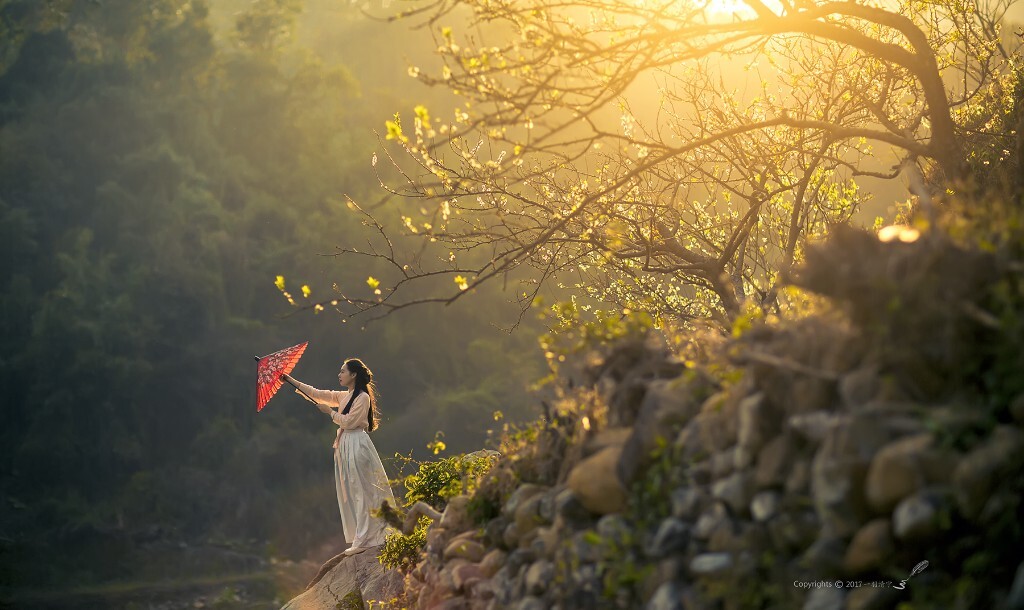 十里花廊夕阳映,如画如梦<br />
一柄油纸伞悠然的滑开<br />
李花清梦一般清淡的颜色<br />
油纸伞下的我<br />
已是一株含苞待放的荷<br />
发丝如细雨愁般丝丝散落<br />
这是烟花绚烂醉人的二月<br />
我的思念汇聚成了一条悠远的河