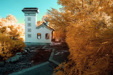IMG_0130(1