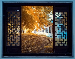IMG_0141(1