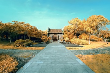 IMG_2418(1