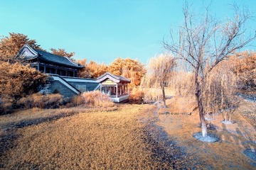 IMG_2425(1