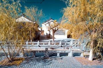 IMG_3079.jpg(1