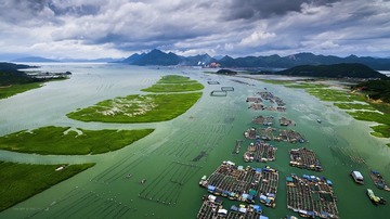 DJI_0077(1