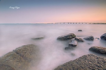 IMG_4731(1