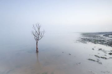IMG_4746(1