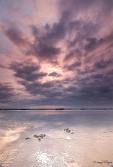 IMG_8485(1