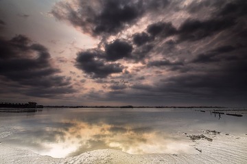 IMG_8494(1