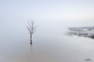 IMG_4746.jpg（？.jpg1