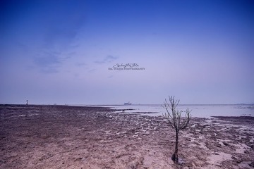 IMG_8785.jpg(1