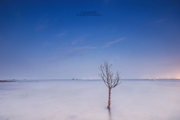 IMG_8798.jpg(1