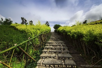 IMG_0051(1