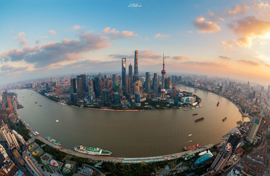 上海白玉兰