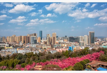 春城