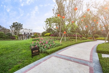 ZJN_0088