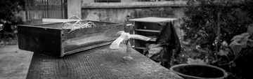 DSC_1121
