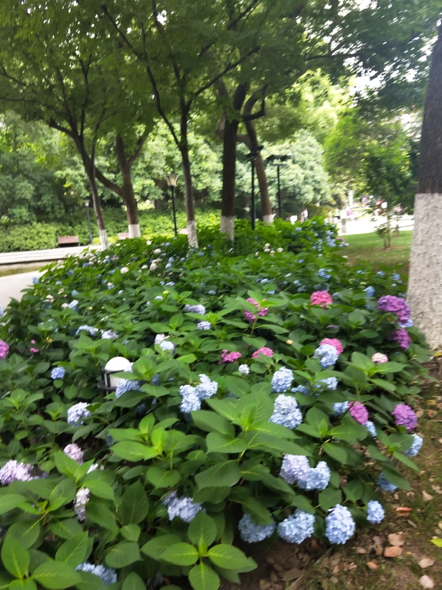 常州市人民公园随拍