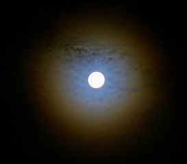 2205280