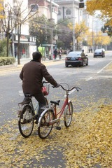 《左右为难》2012年12月5日摄于上海莘凌路。生活中，很多时候，很多事情尽管知道左右为难，却还得继续。