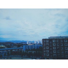 1590613