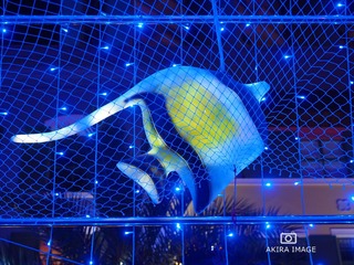 P1040143