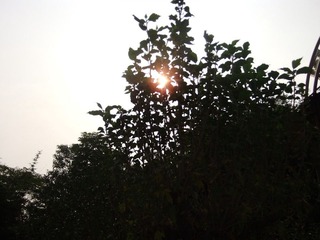 guang