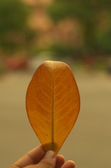 950708