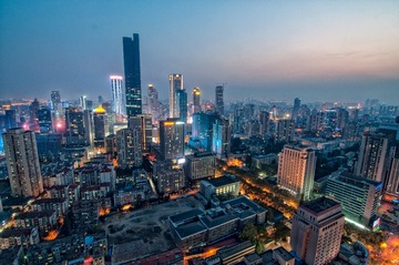 赛格南