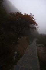 IMG_9379.JPG