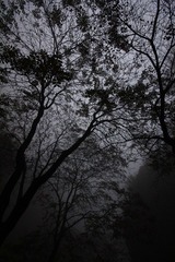 IMG_9399.JPG