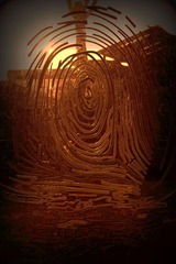IMG_1764_