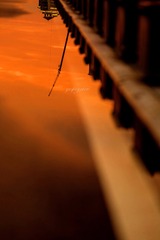 6035BEBC-C306-4D3E-A2F4-B98D9415472D/L0/001