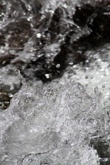 水