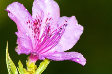 IMG_3175.jpg