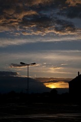 0_DSC1003