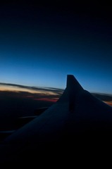 _DSC2391.JPG