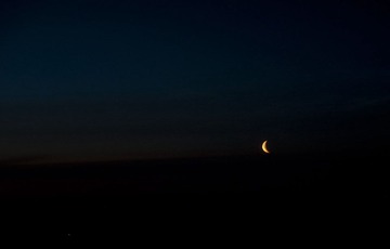 _DSC2392.JPG