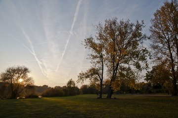 _DSC4030.JPG