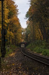 _DSC4106.JPG