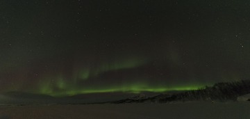 _DSC5708