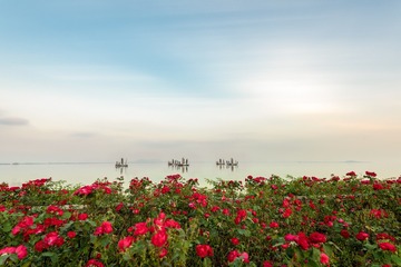 太湖岸边渔歌起