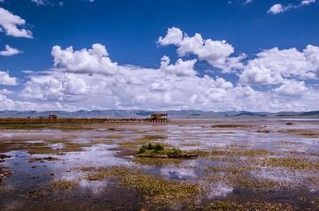 DSC_0077-1-2