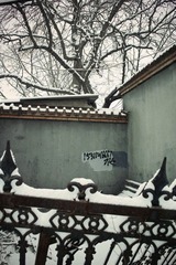 SDIM0729