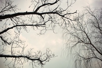 SDIM0767